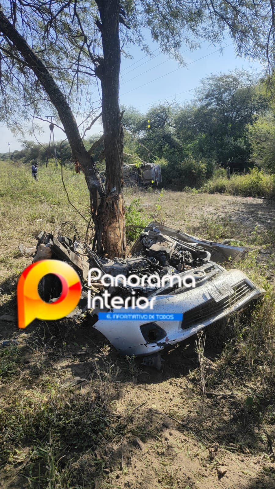 Imagen principal