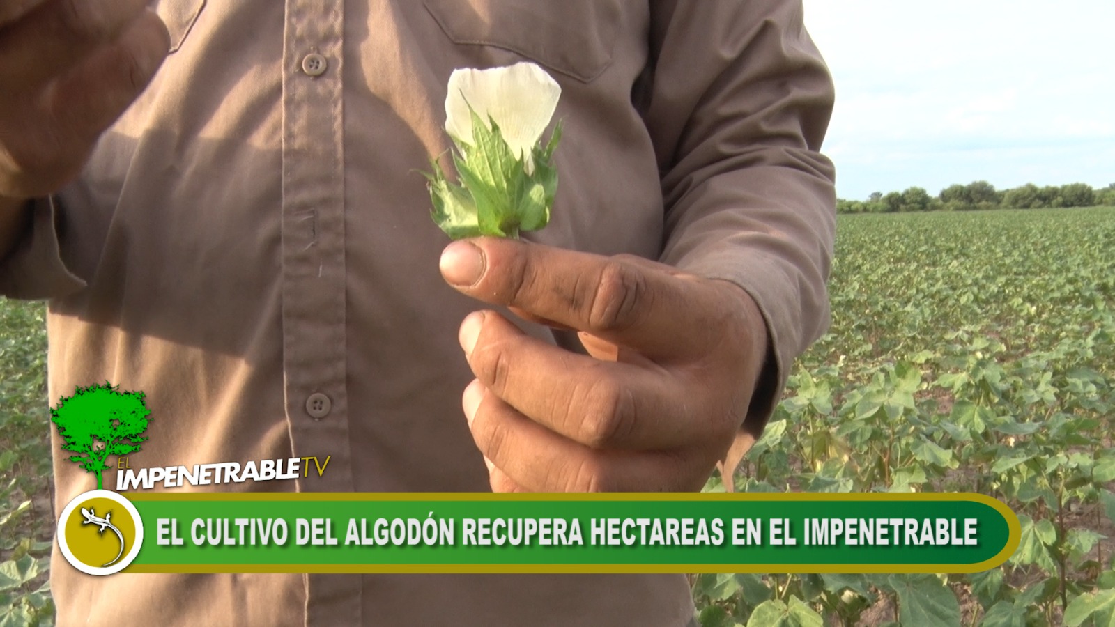 Imagen adicional