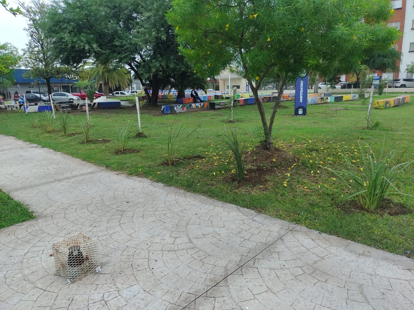 Imagen adicional
