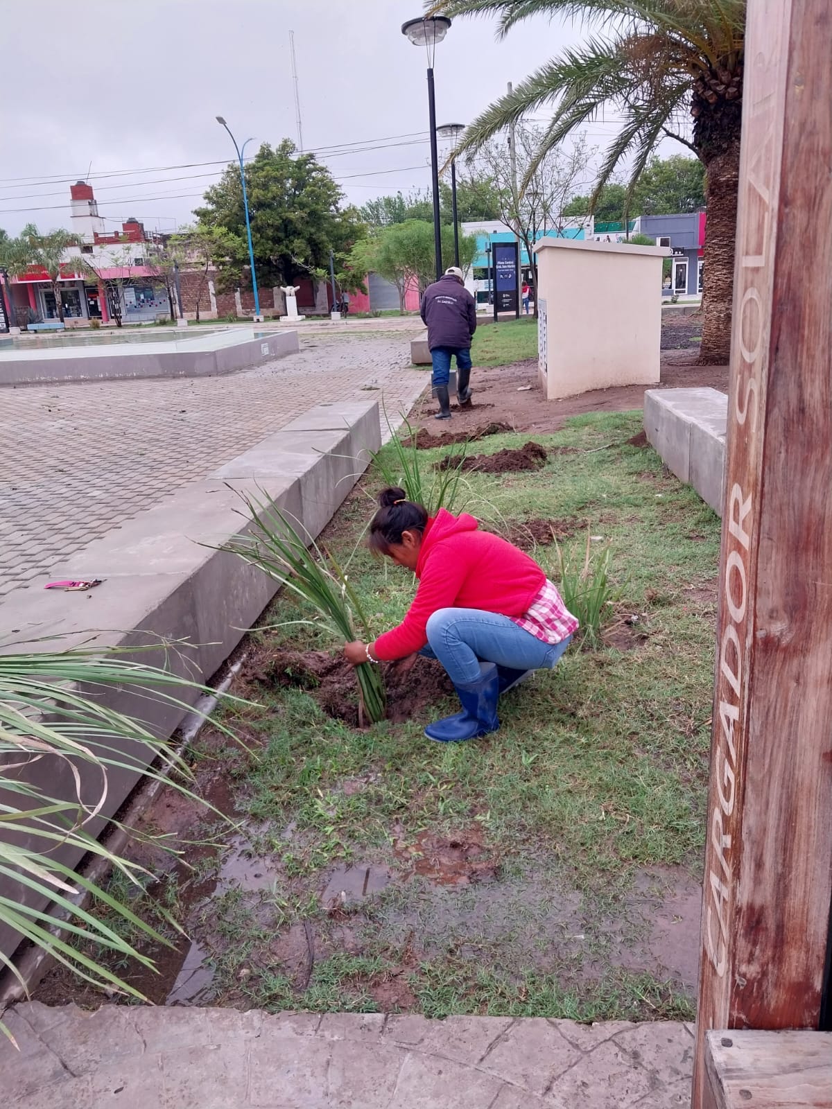 Imagen adicional