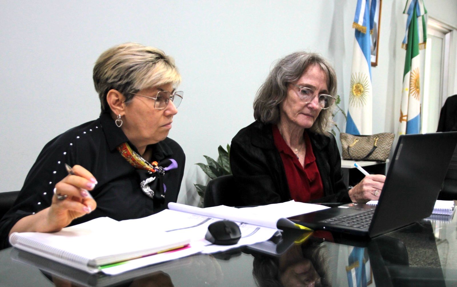 Imagen adicional