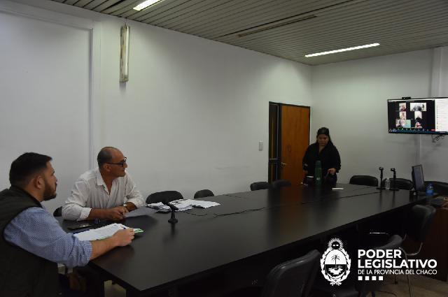 Imagen adicional