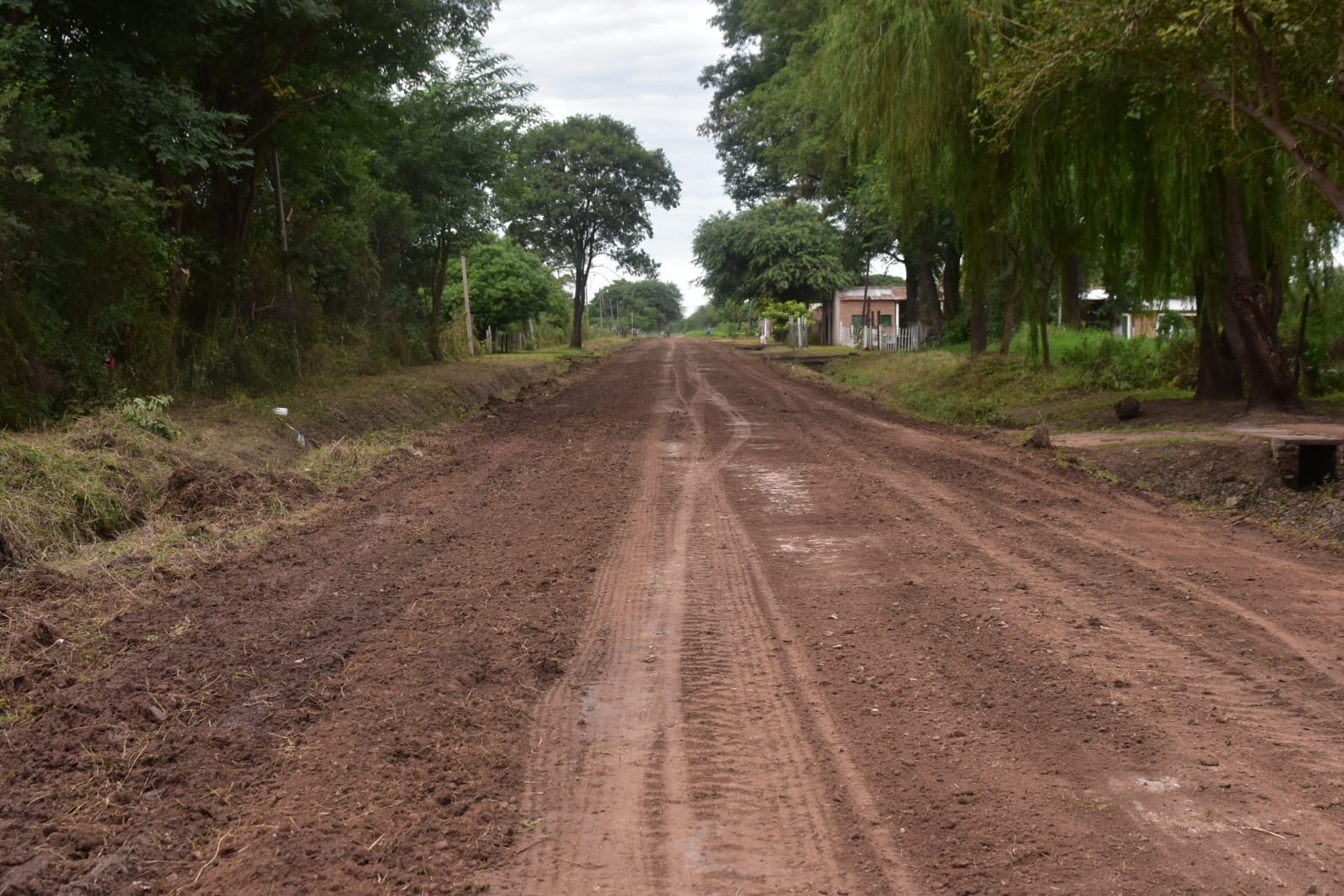 Imagen adicional