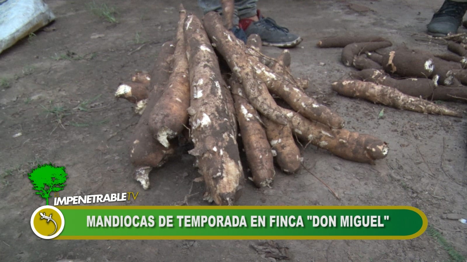 Imagen adicional