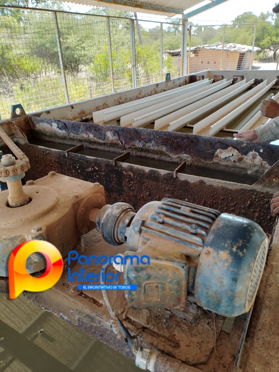 Imagen adicional