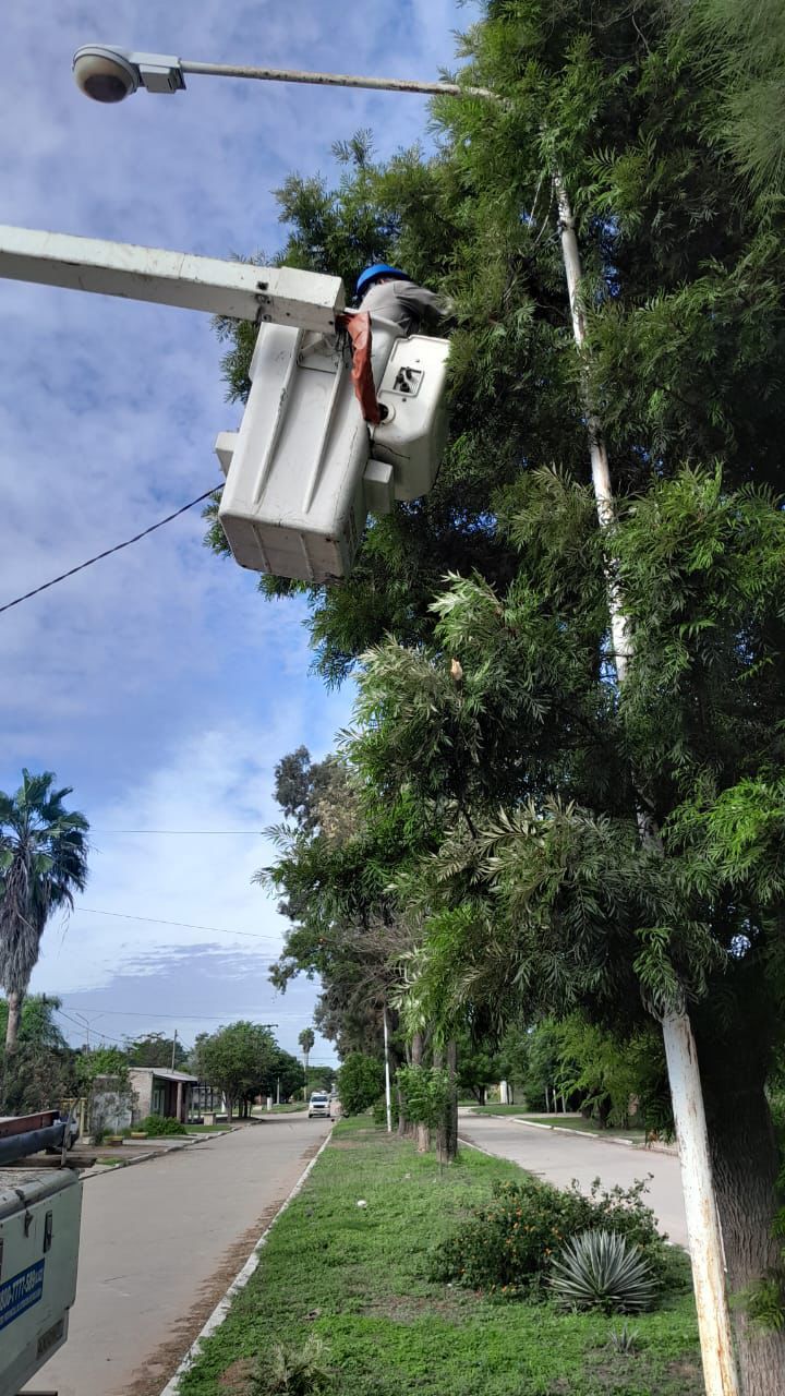Imagen adicional