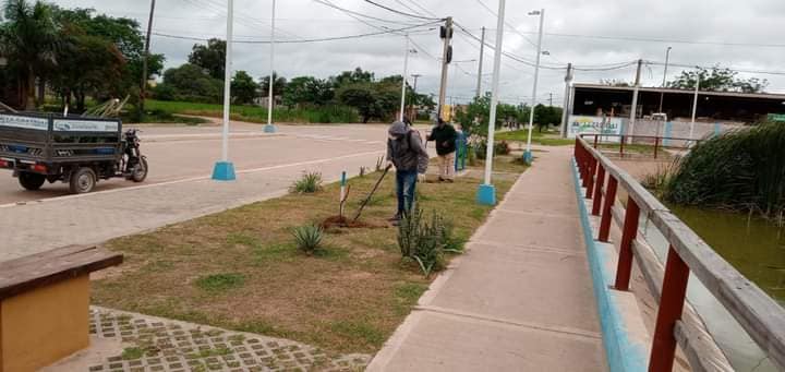 Imagen adicional