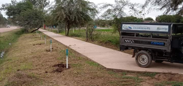 Imagen adicional