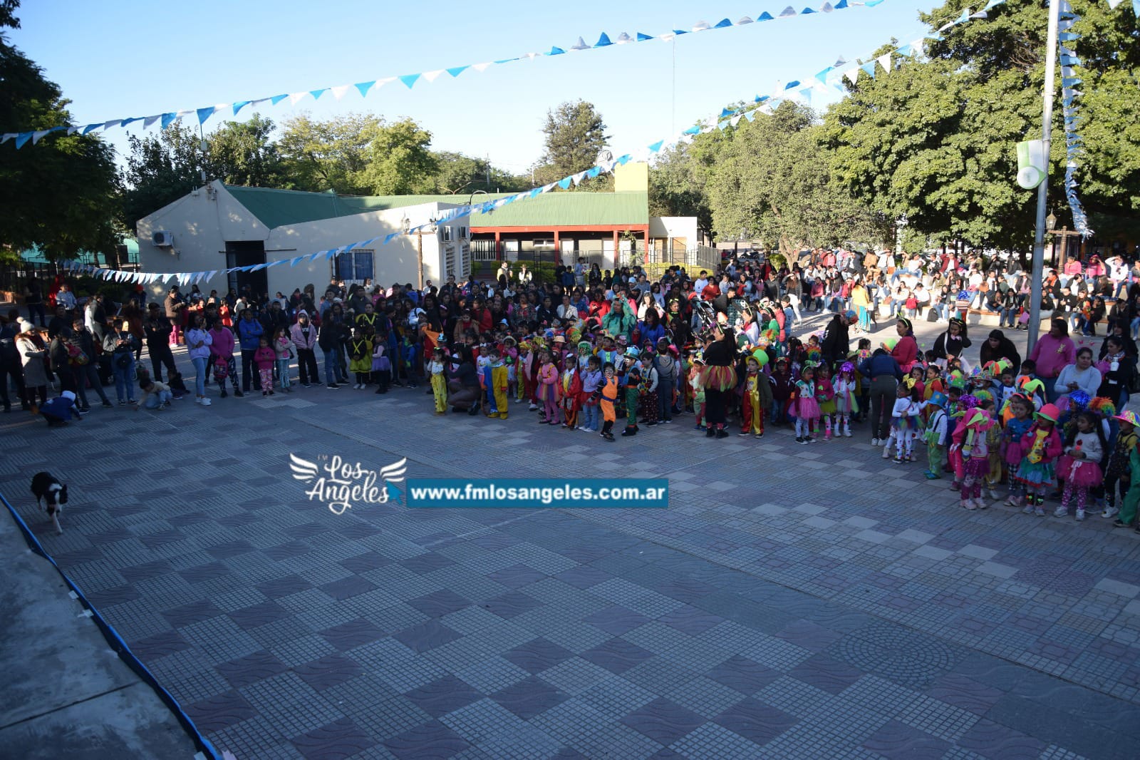Imagen adicional