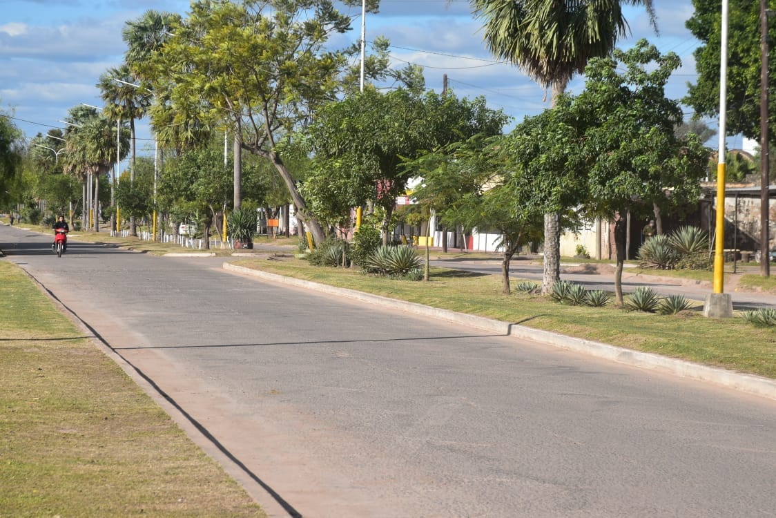 Imagen adicional