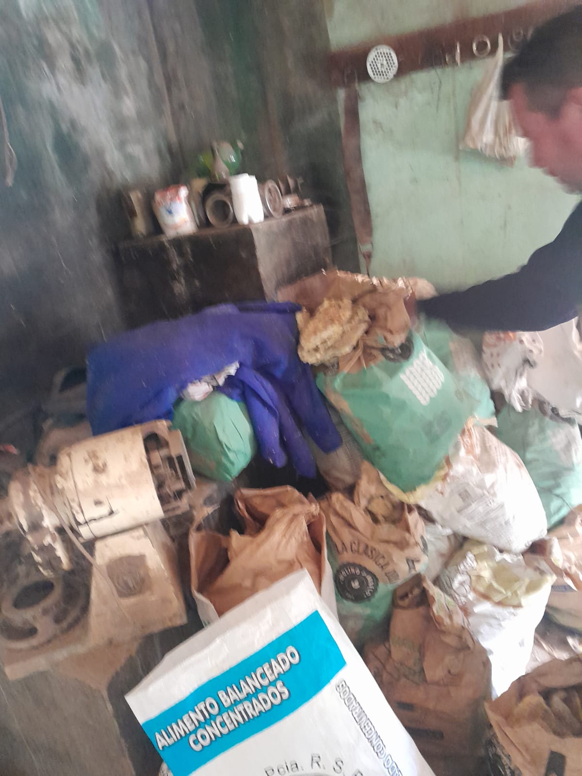 Imagen adicional