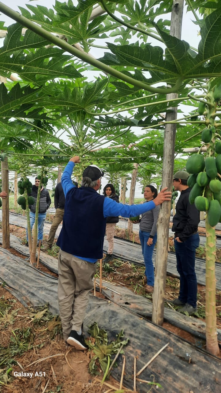Imagen adicional