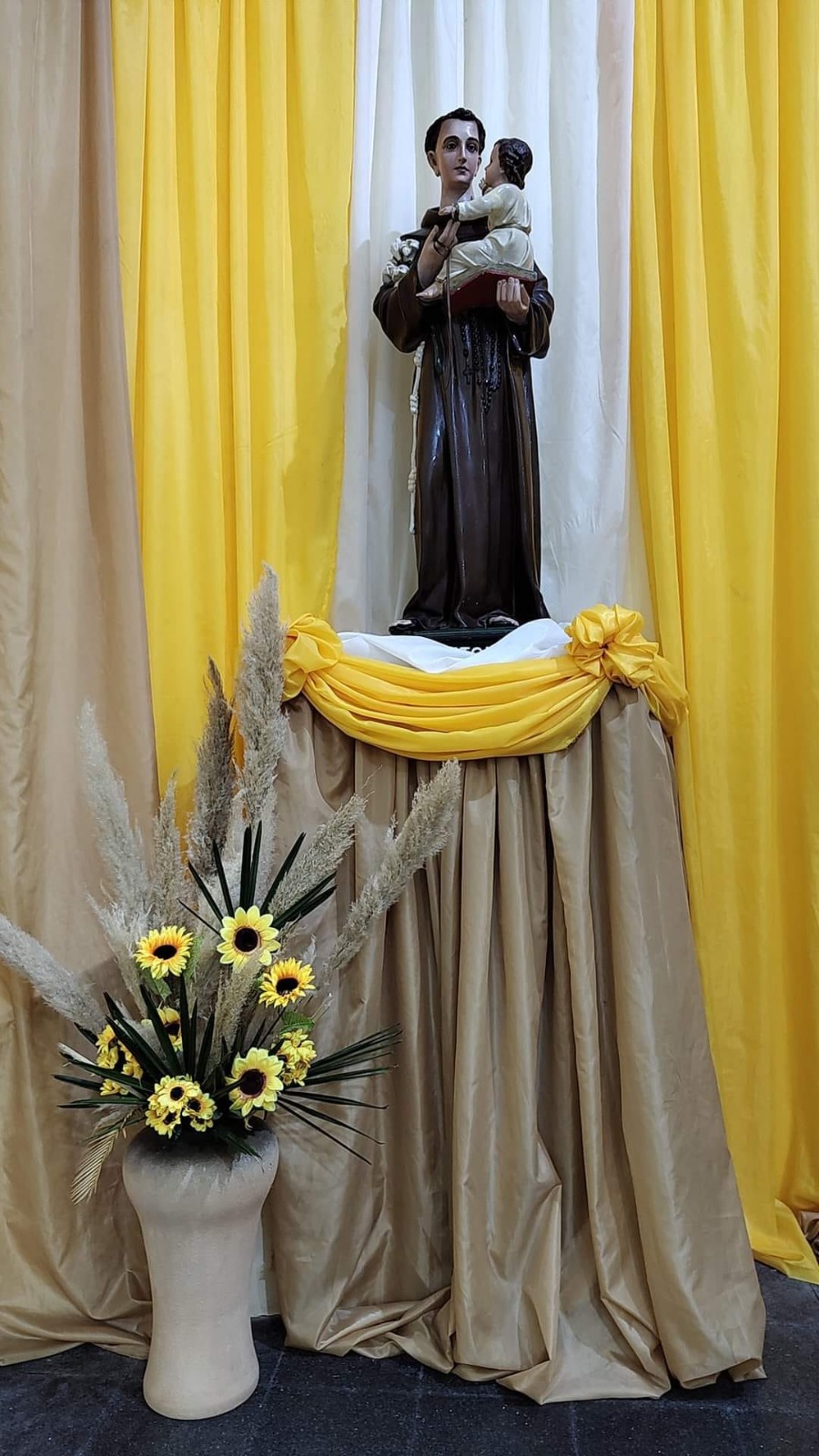 Imagen adicional