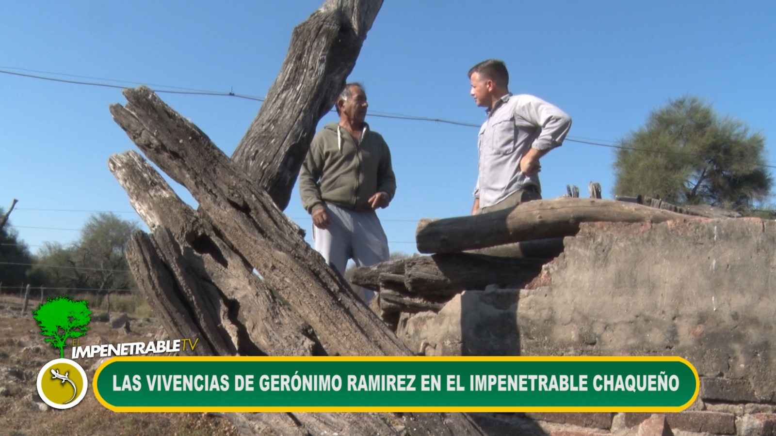 Imagen adicional