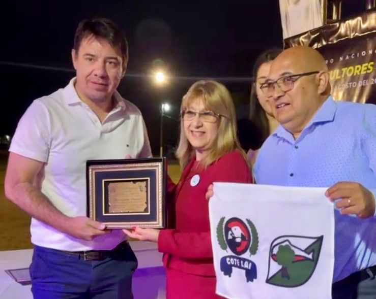 Imagen adicional