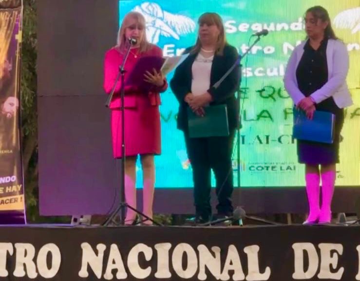 Imagen adicional