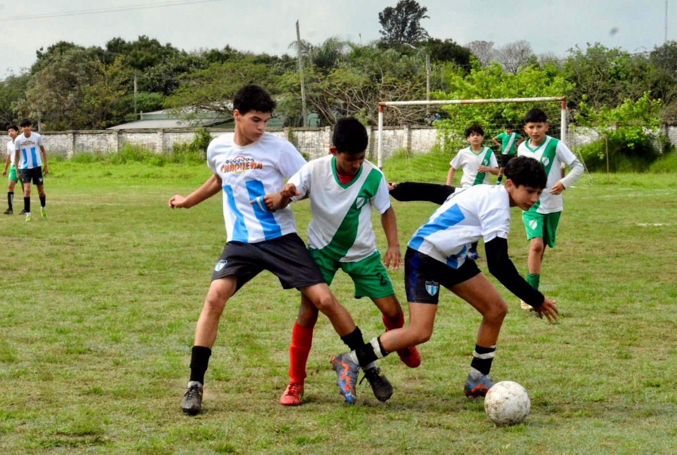 Imagen adicional