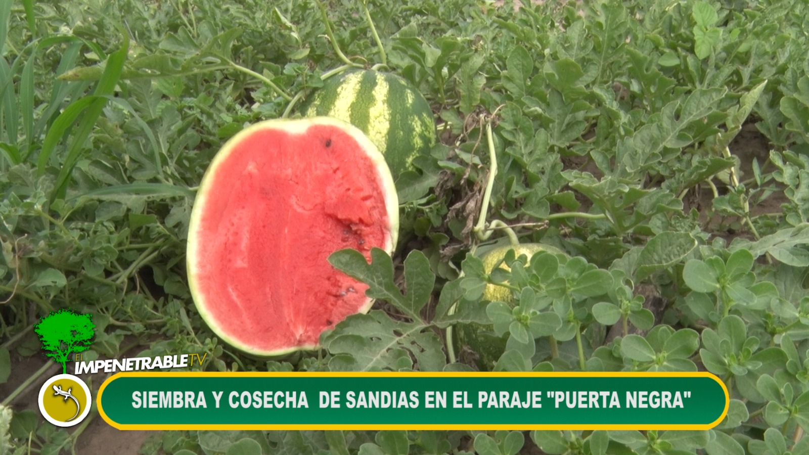 Imagen adicional