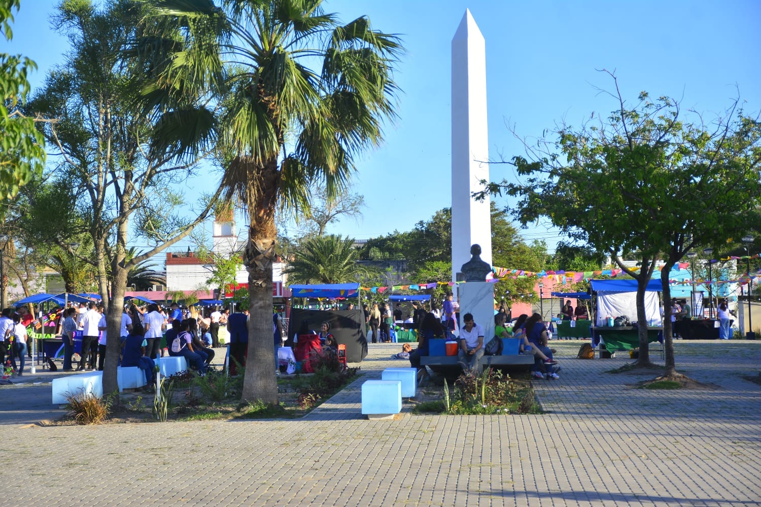 Imagen adicional