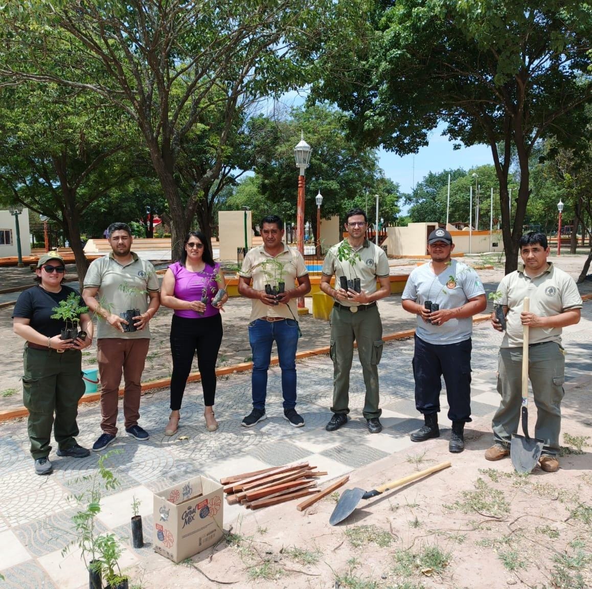 Imagen adicional