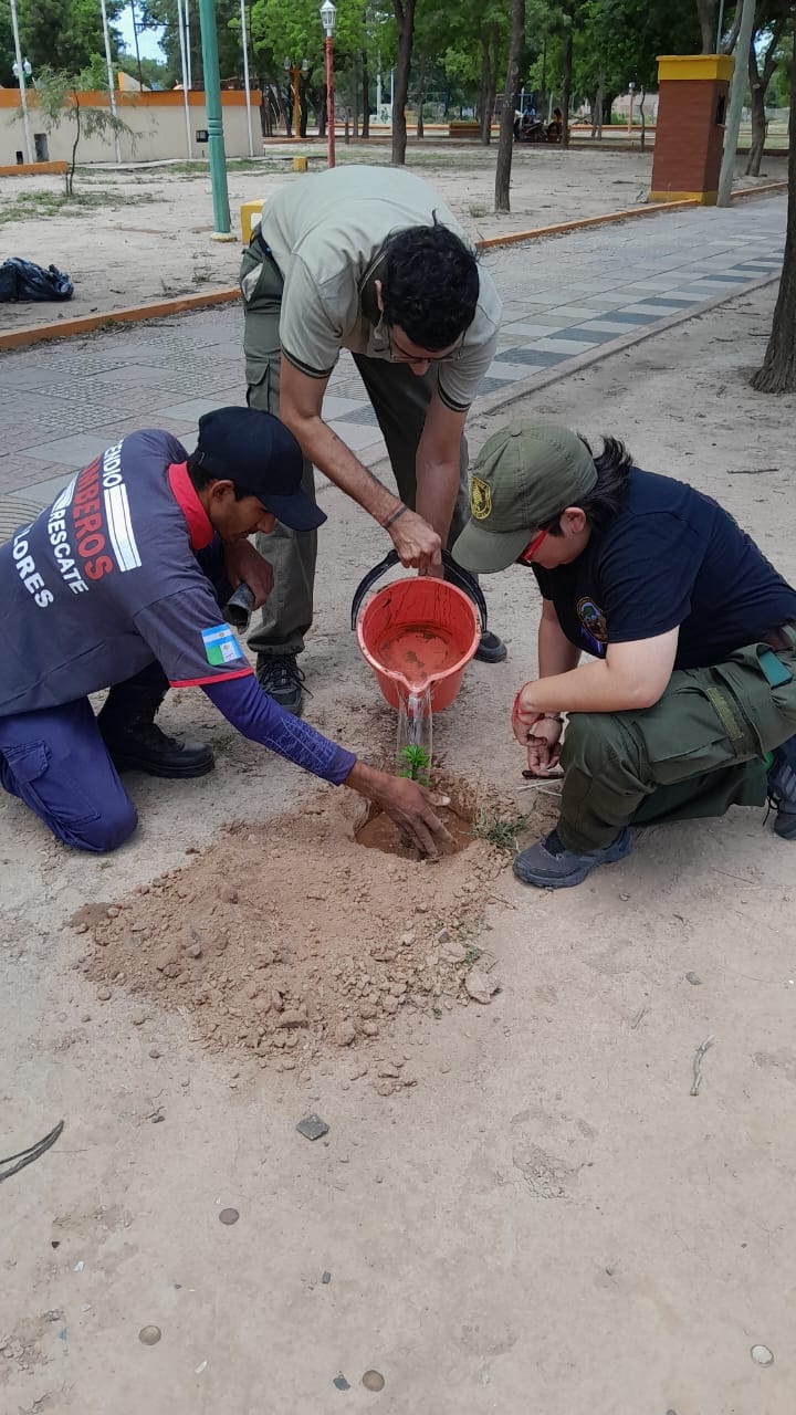 Imagen adicional