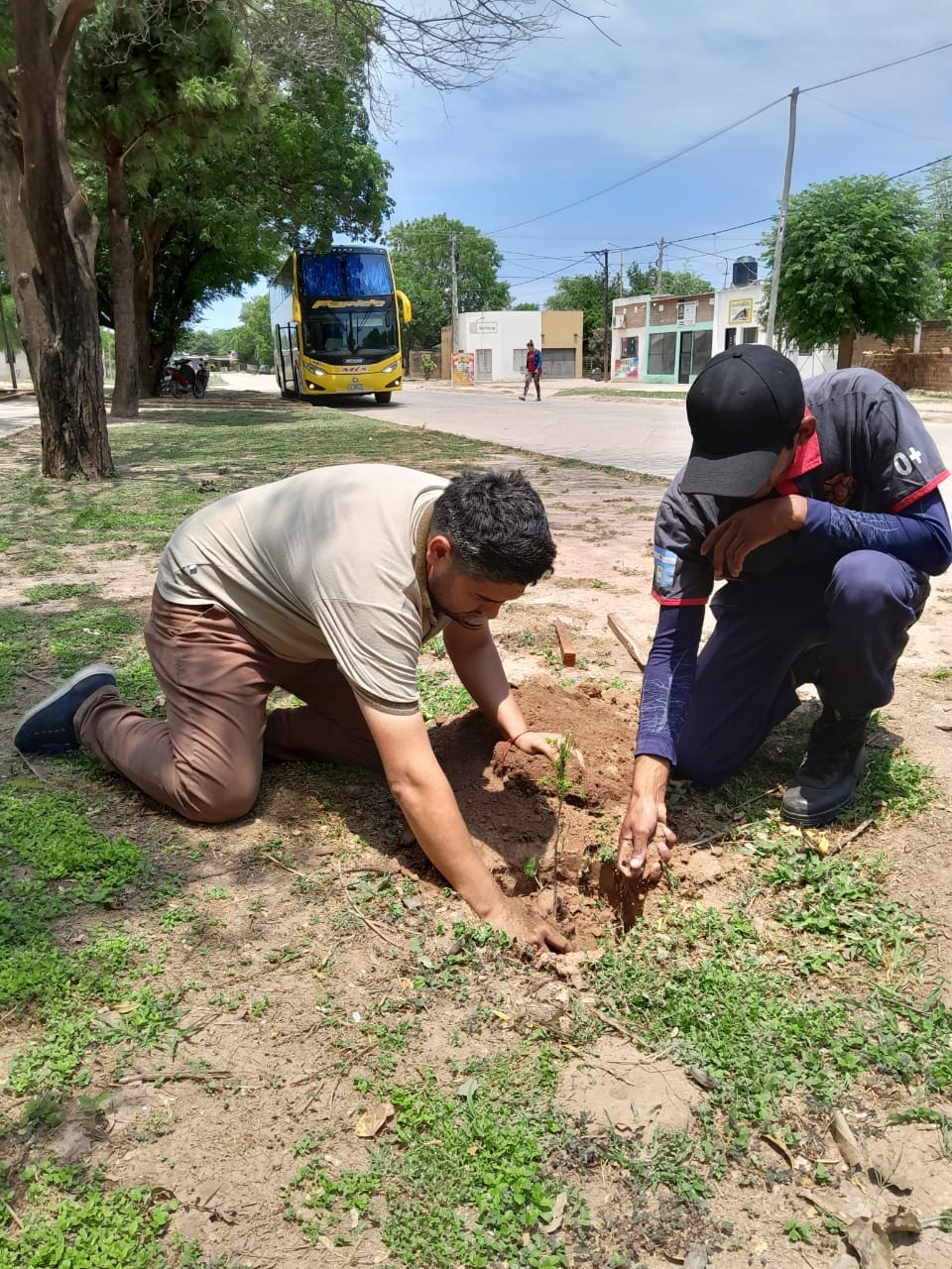 Imagen adicional