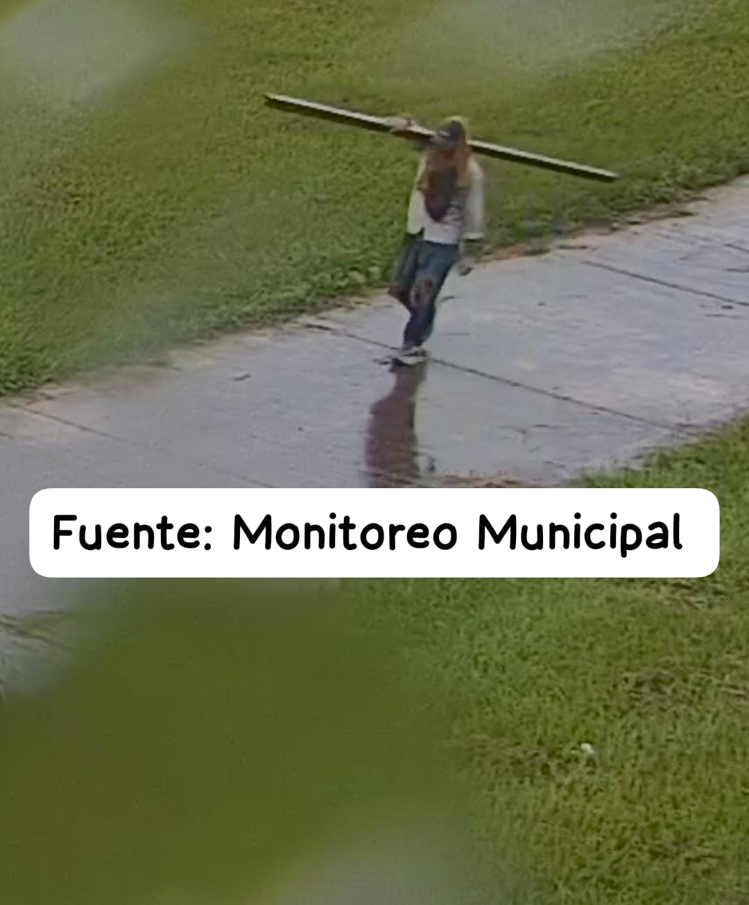 Imagen adicional