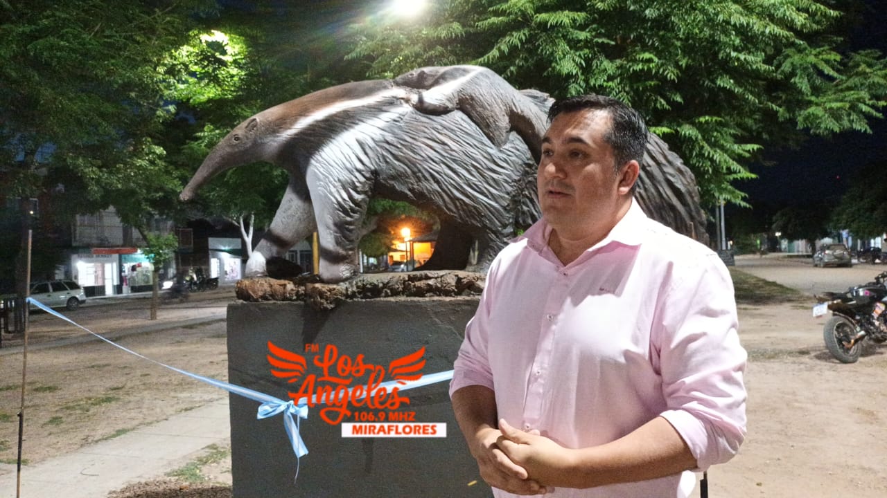 Imagen adicional