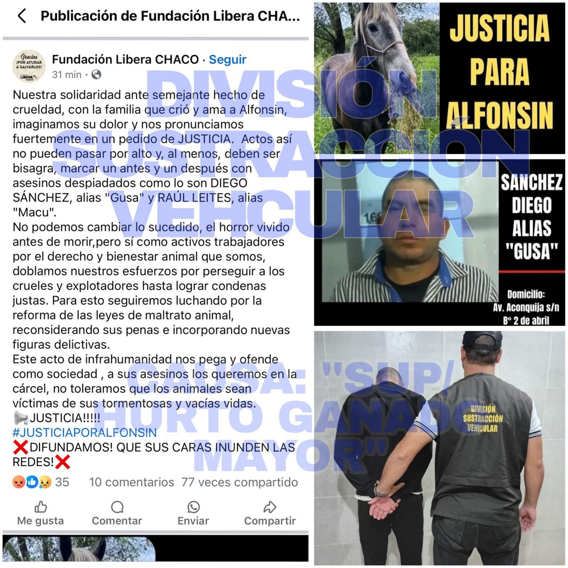 Imagen adicional