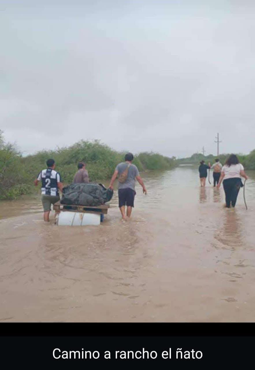 Imagen adicional