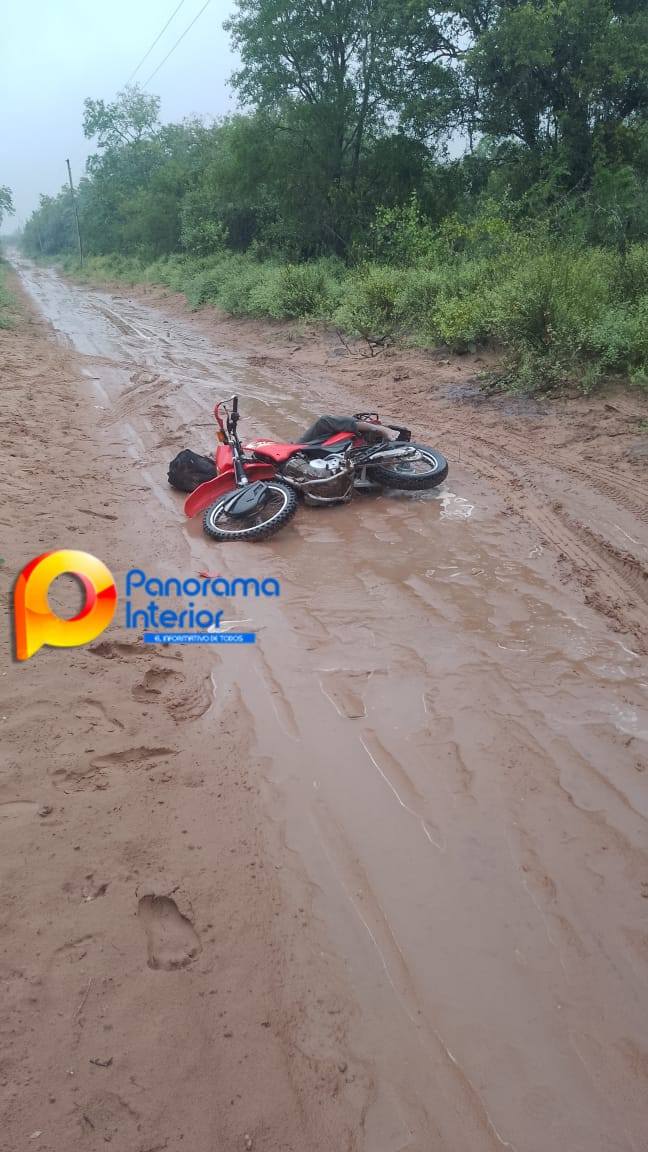 Imagen adicional