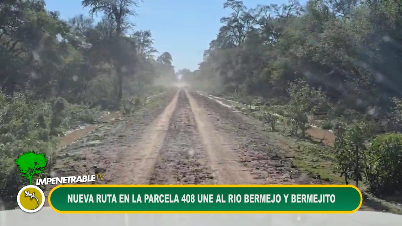 Imagen adicional