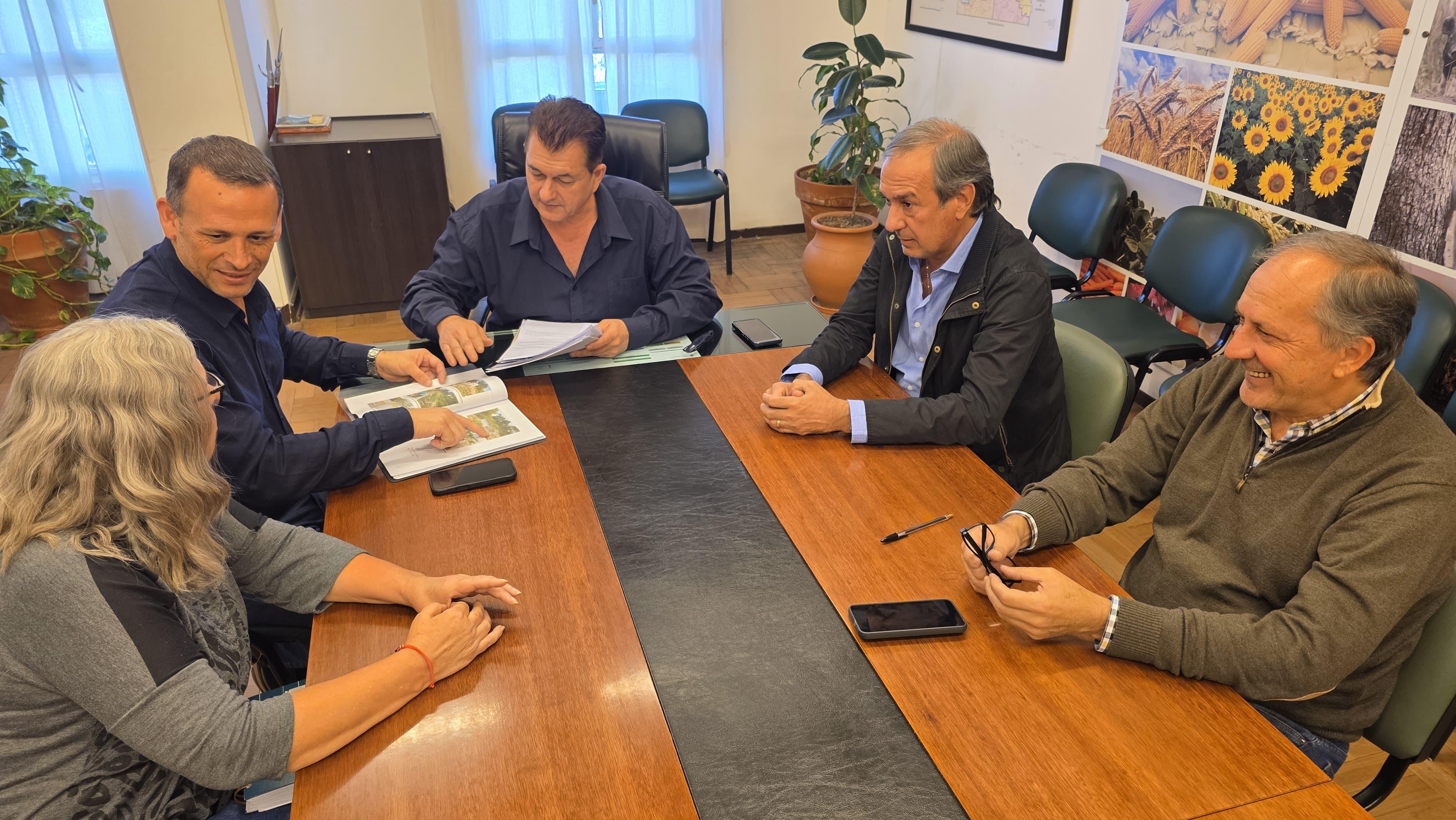 Imagen adicional