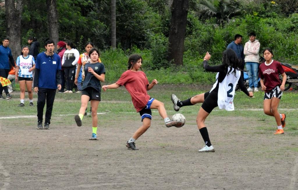 Imagen adicional