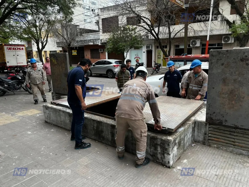 Imagen adicional