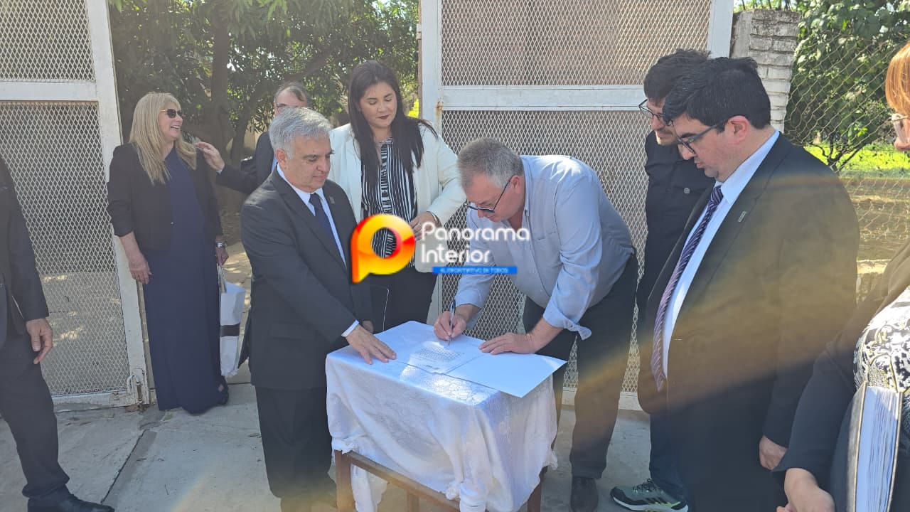 Imagen adicional