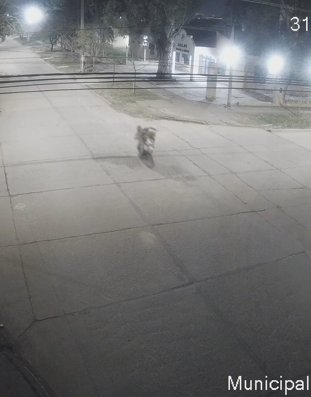 Imagen adicional