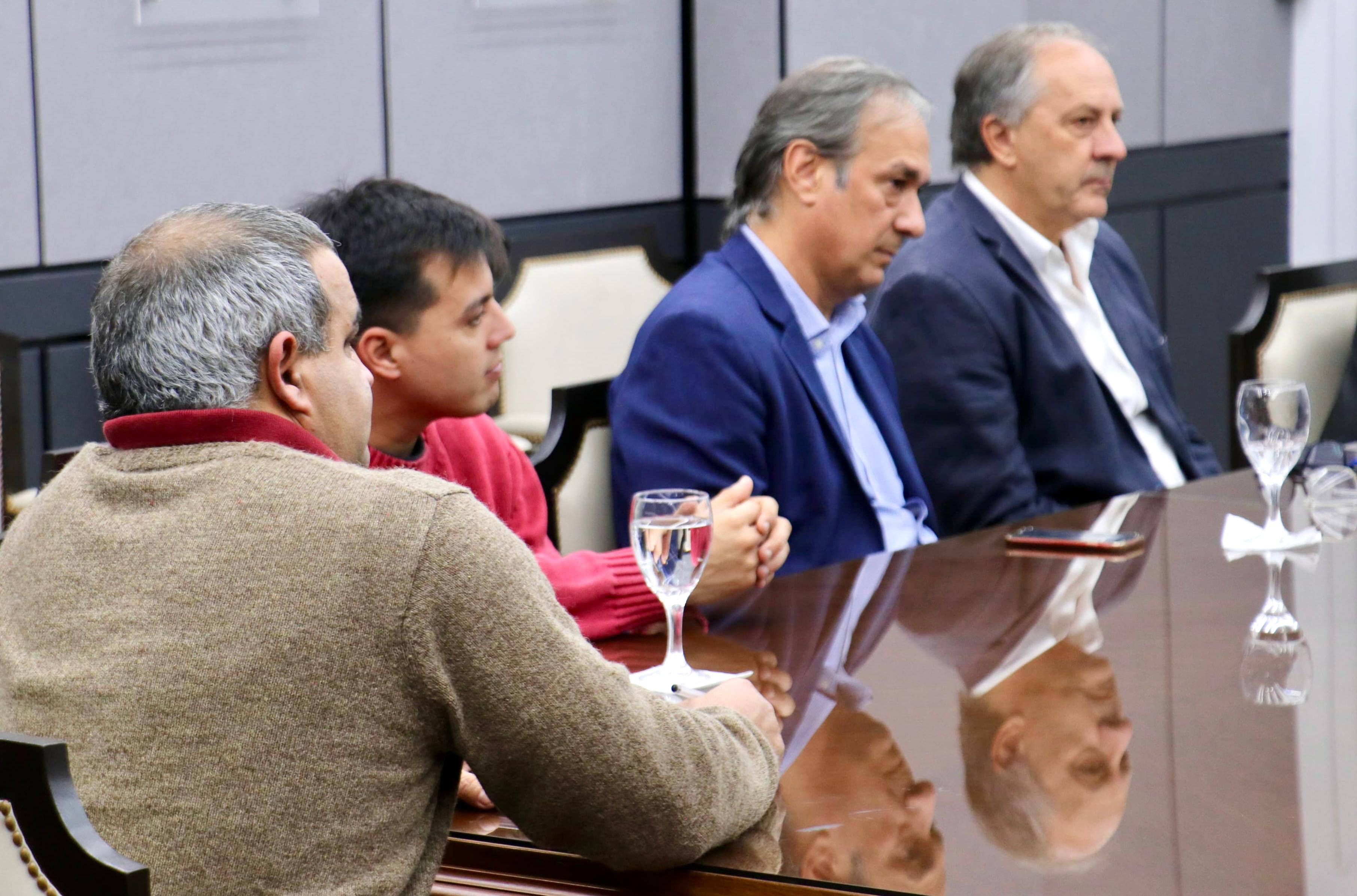 Imagen adicional