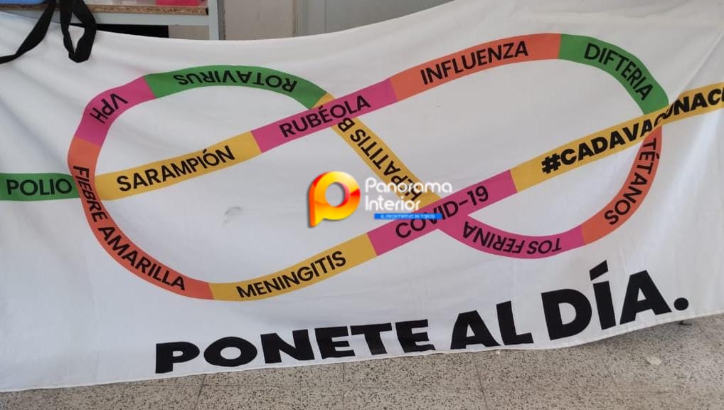 Imagen adicional
