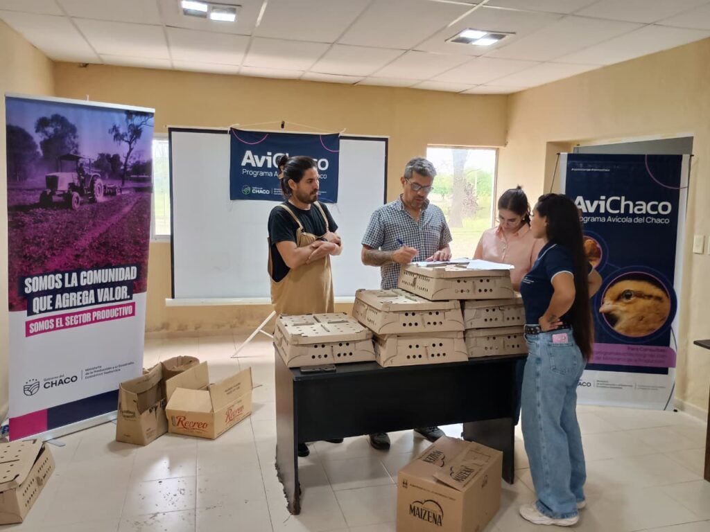 Imagen adicional
