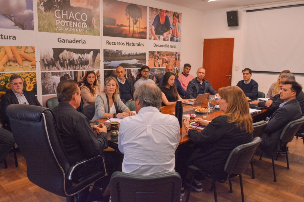 Imagen adicional