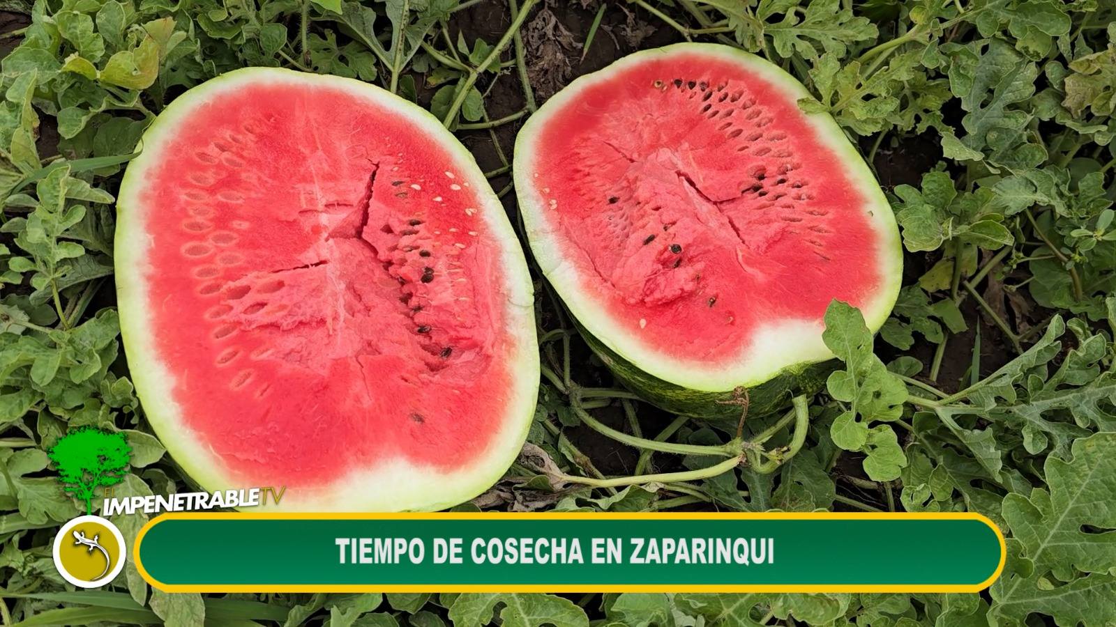 Imagen adicional