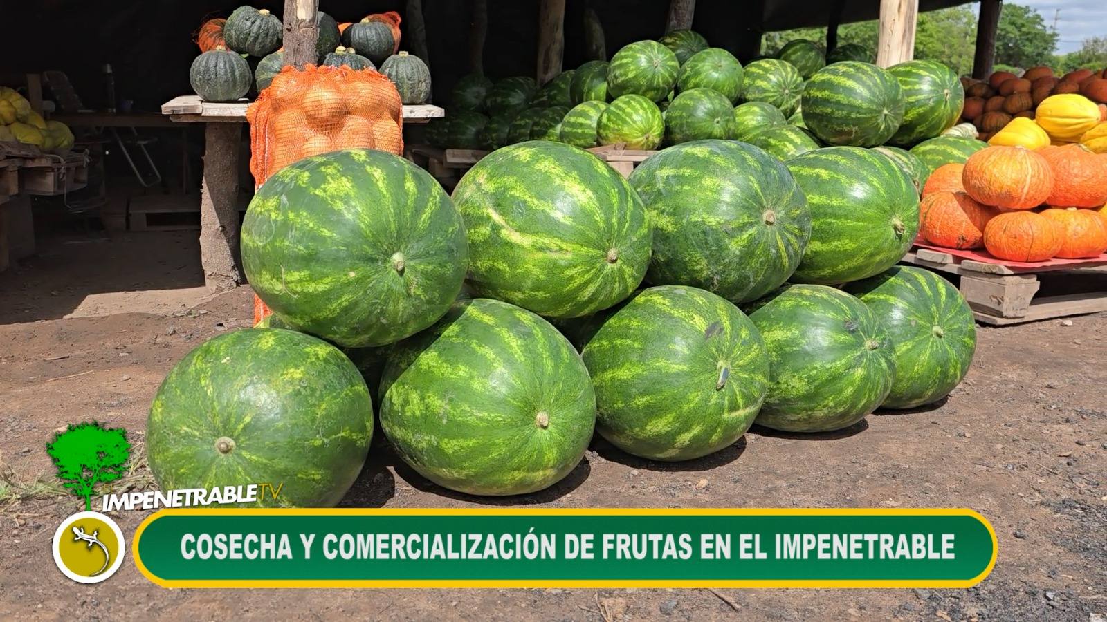 Imagen adicional