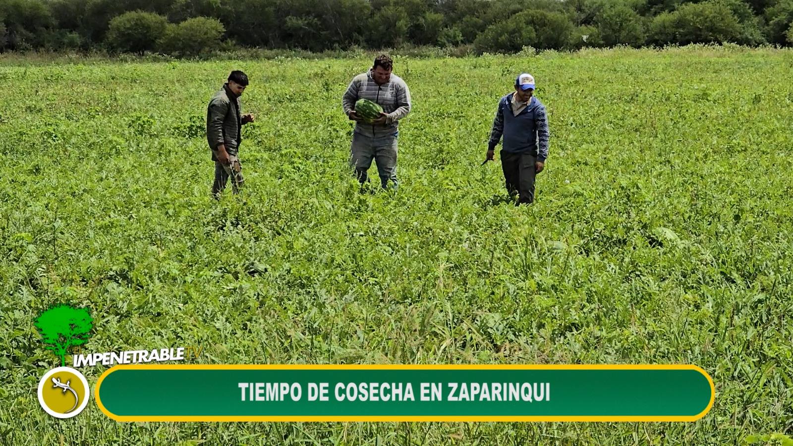Imagen adicional