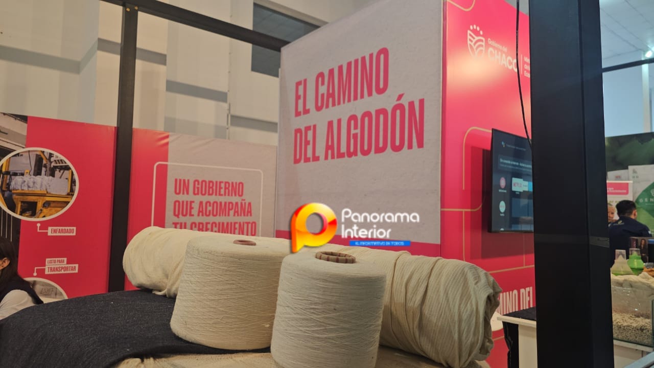 Imagen adicional
