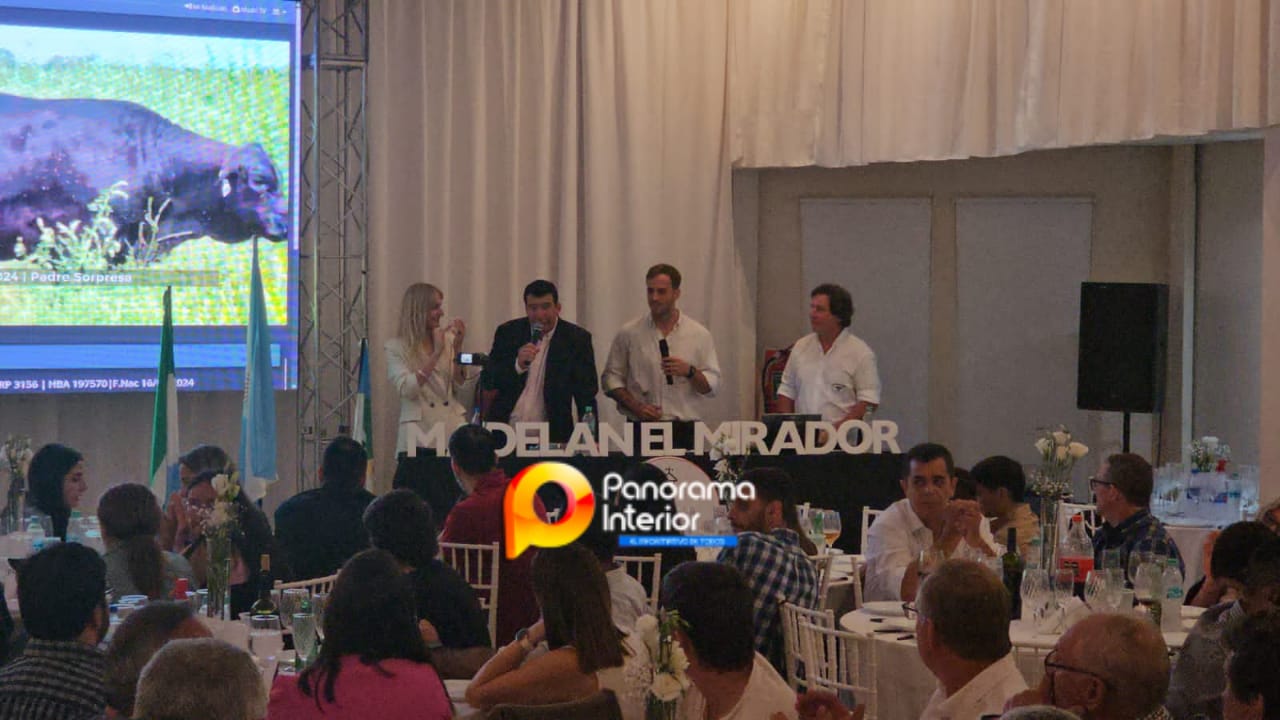 Imagen adicional