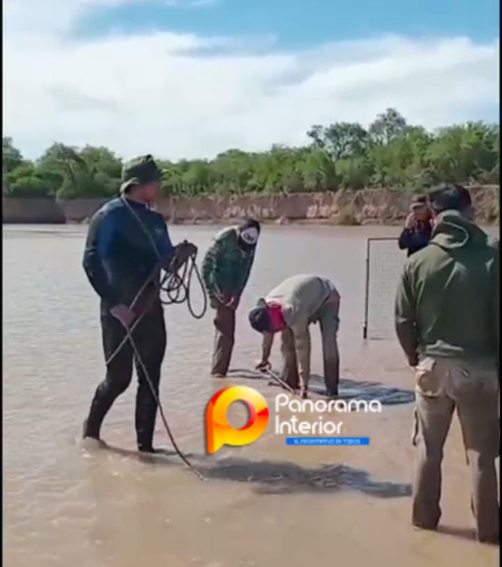 Imagen adicional