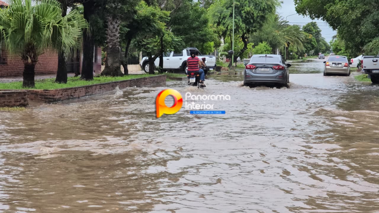 Imagen adicional