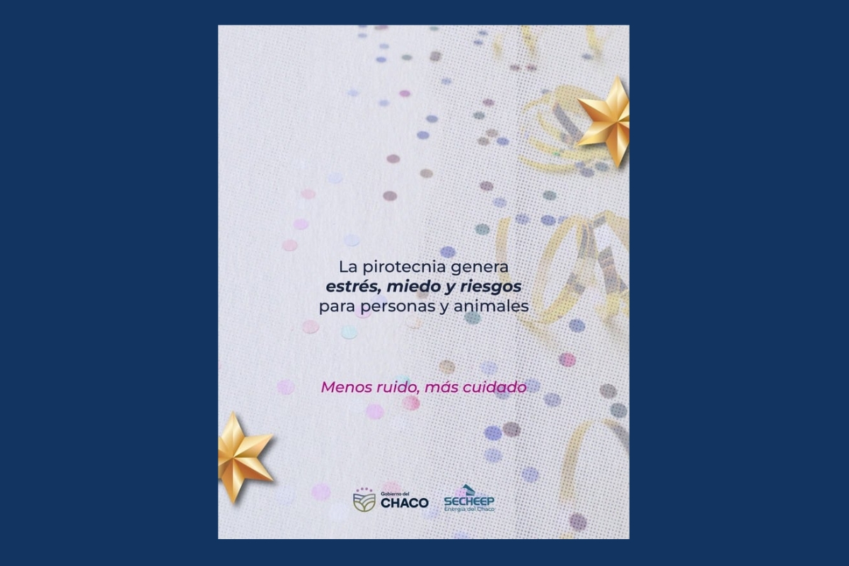 Imagen adicional