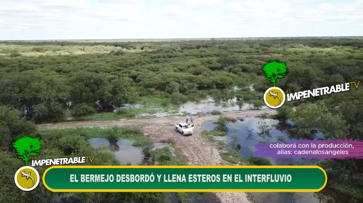 Imagen adicional